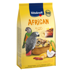 AFRICANO para los loros africanos