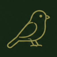 Pajaros
